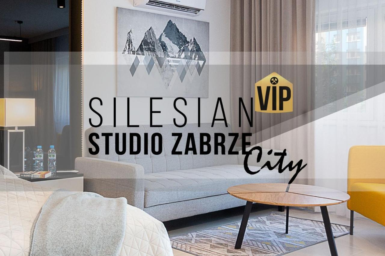 Studio Silesian Vip City Centrum Free Parking Zabrze Exterior foto